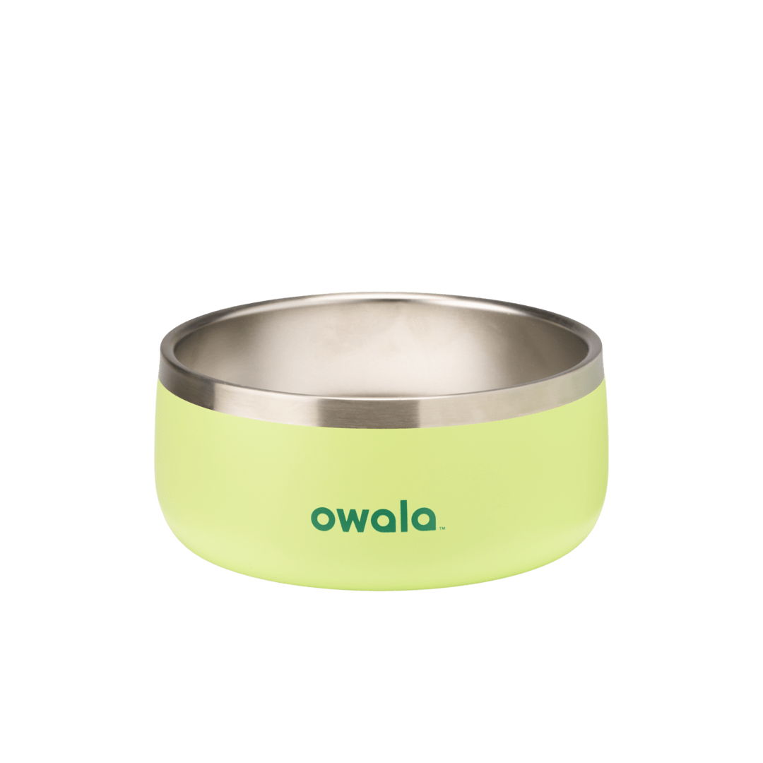 Pet Bowl - KT0XO