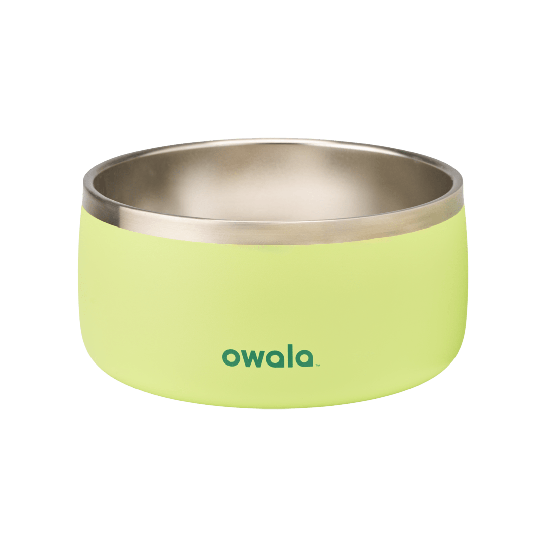 Pet Bowl - KT0XO