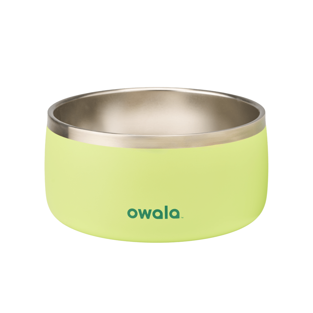 Pet Bowl - KT0XO