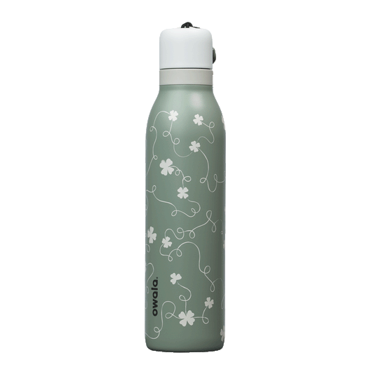 Clover Achiever - 3Z9YH