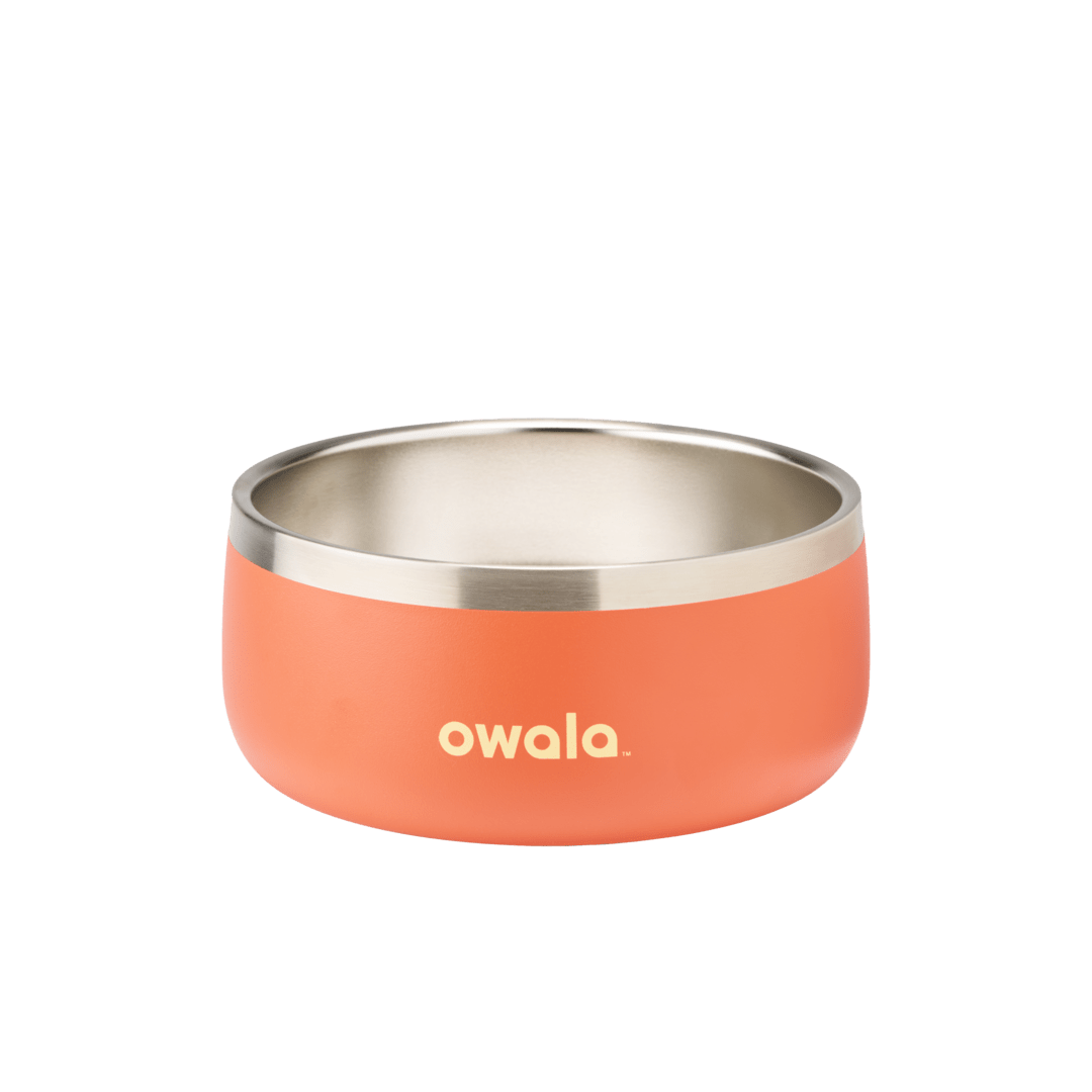 Pet Bowl - KT0XO