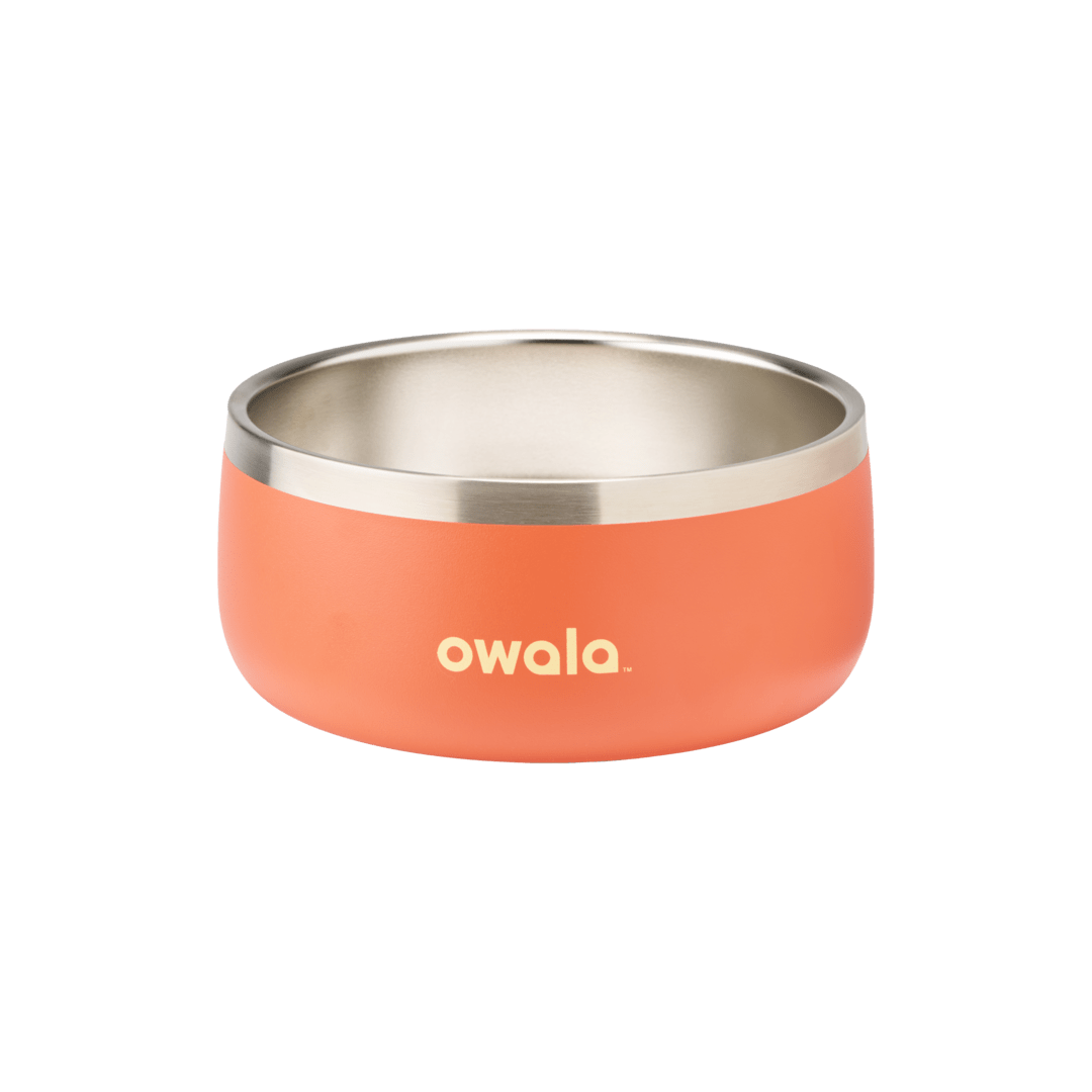 Pet Bowl - KT0XO