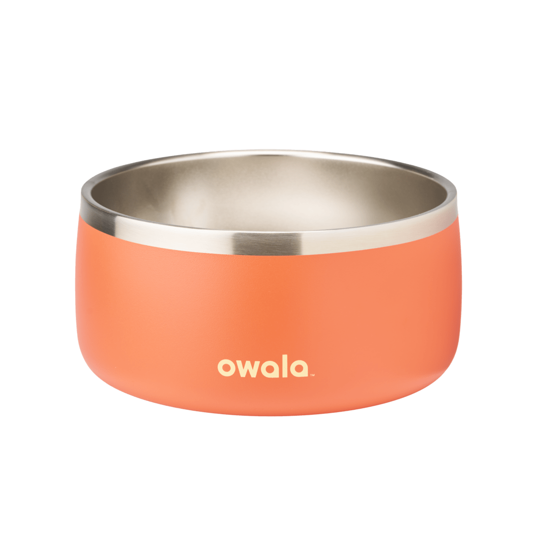 Pet Bowl - KT0XO