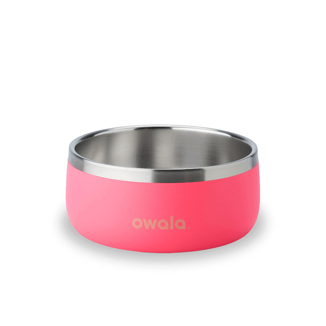 Pet Bowl - KT0XO