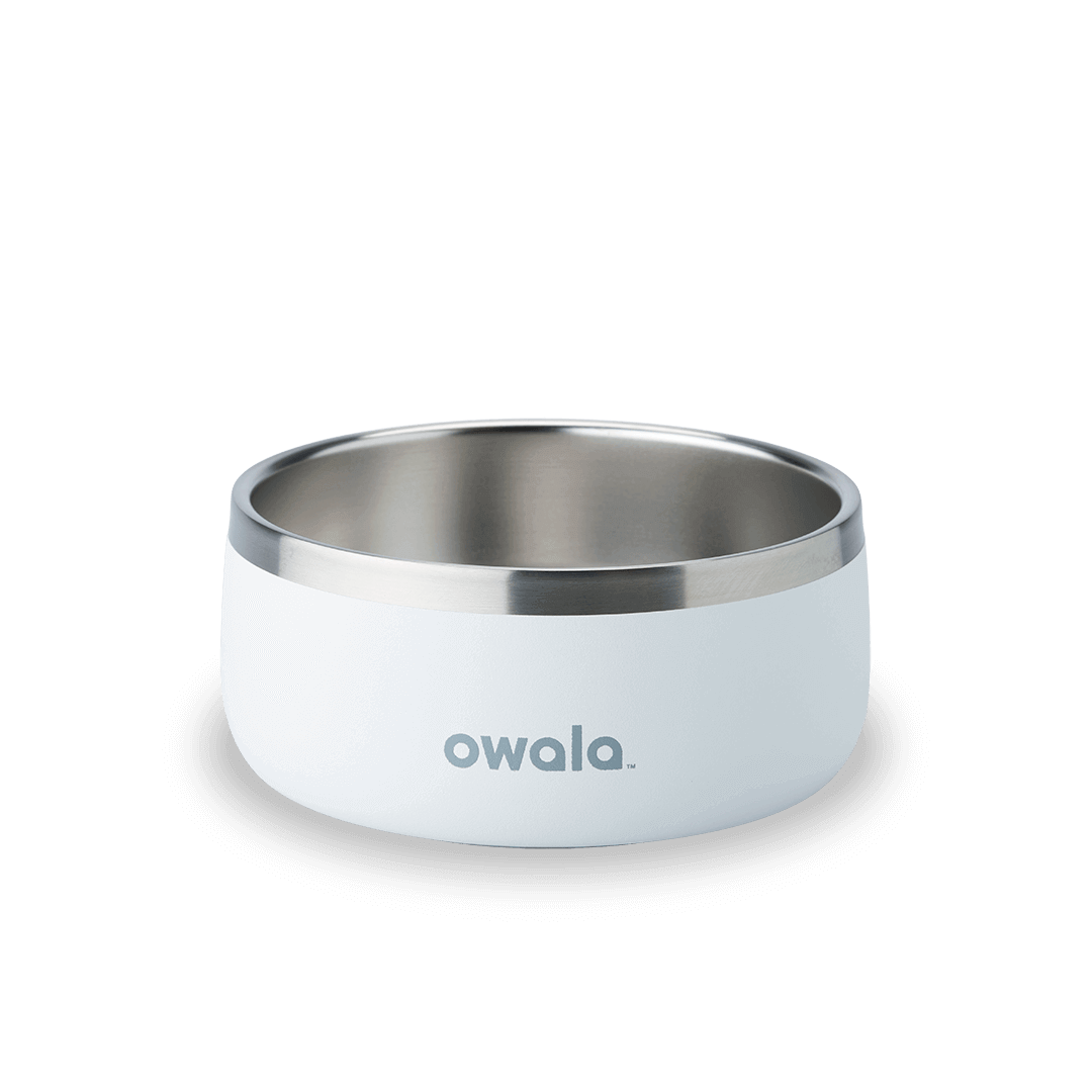 Pet Bowl - KT0XO