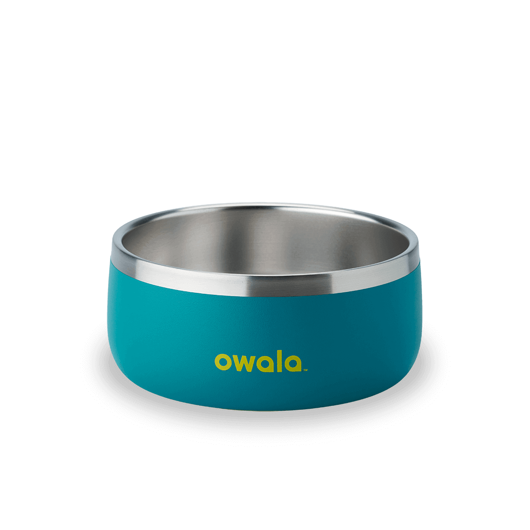 Pet Bowl - KT0XO