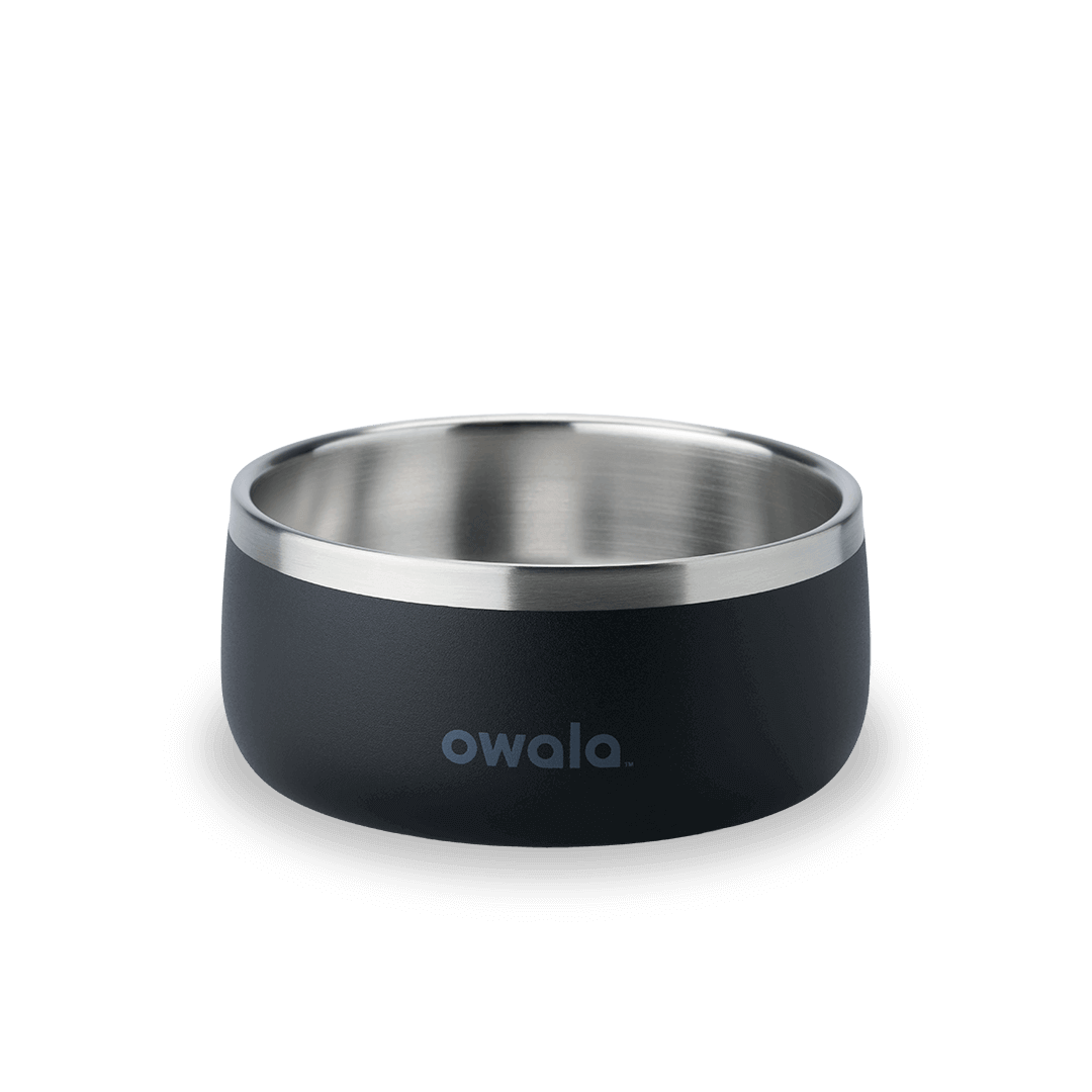 Pet Bowl - KT0XO