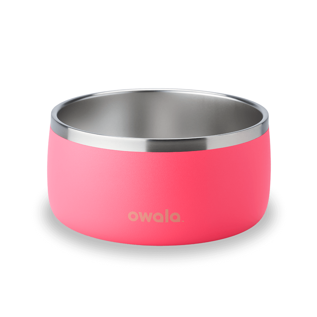 Pet Bowl - KT0XO