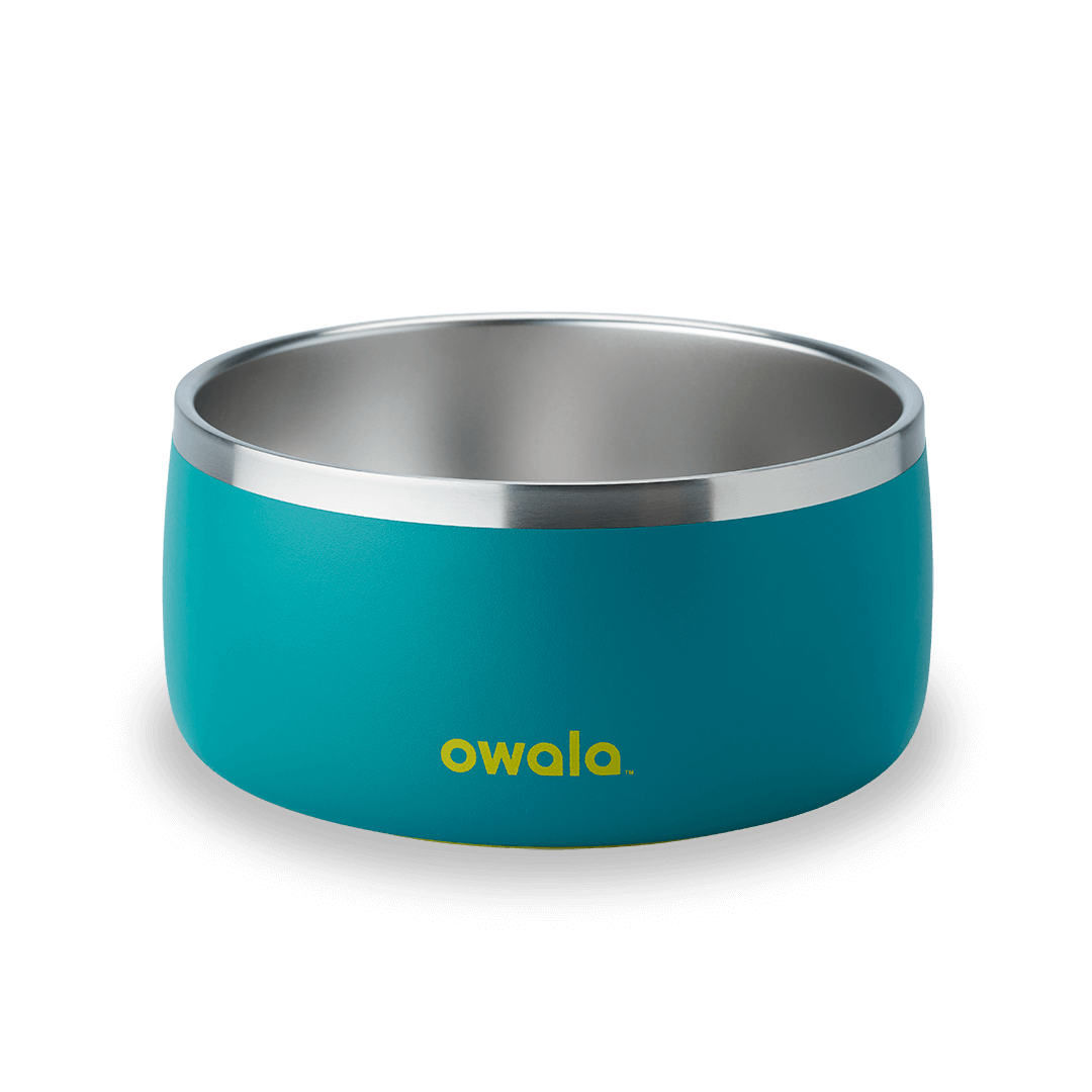 Pet Bowl - KT0XO